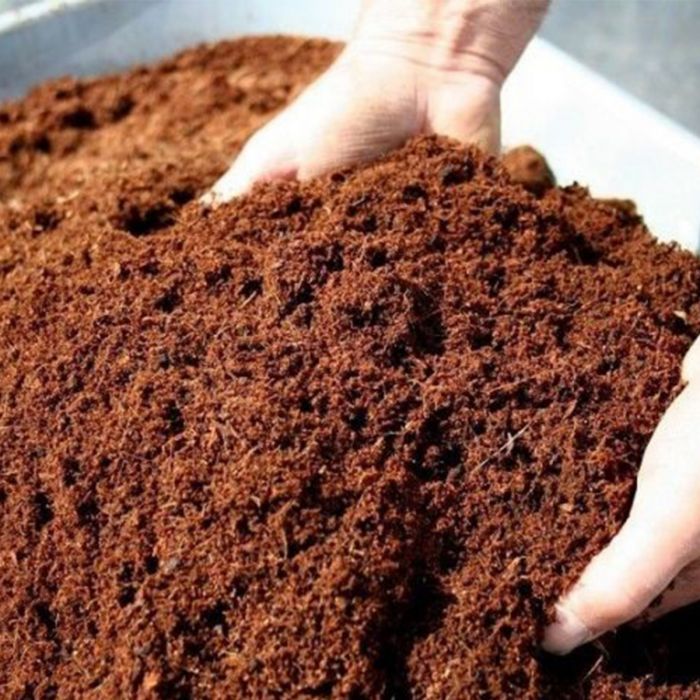 The Advantages of Coconut Coir Litter Material for Cats and Small Animals