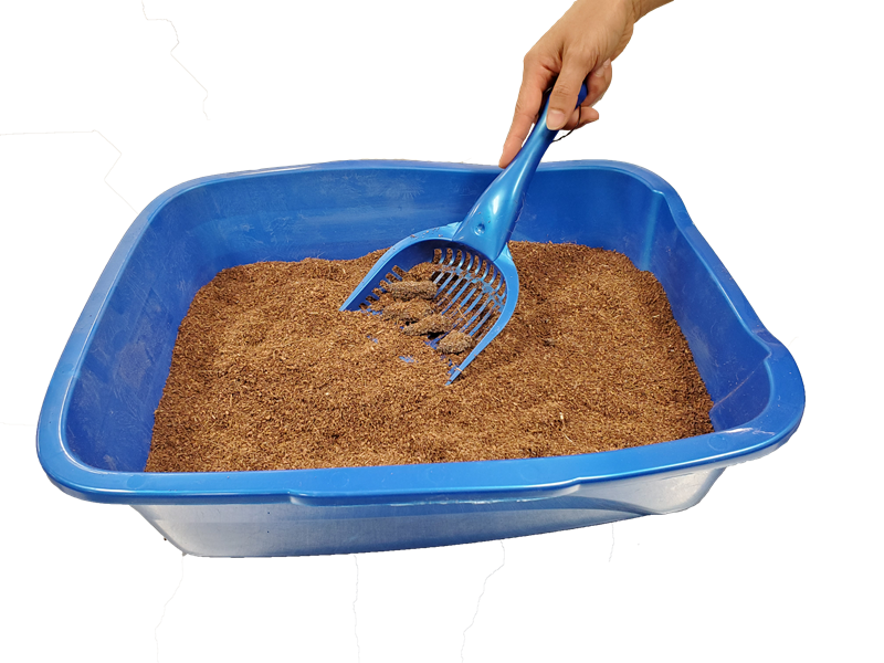 Coconut cat litter reviews online